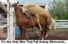 horses_fall_asleep_too.jpg
