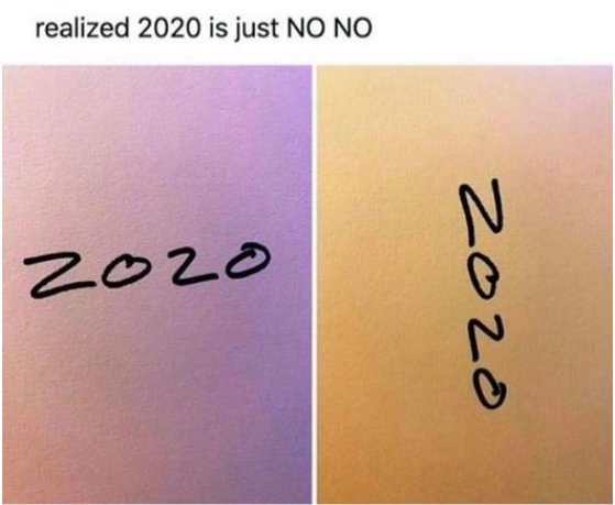 2020 nono majorgeeks.jpg