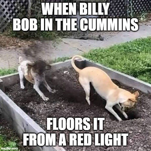 Billy_Bob.jpg
