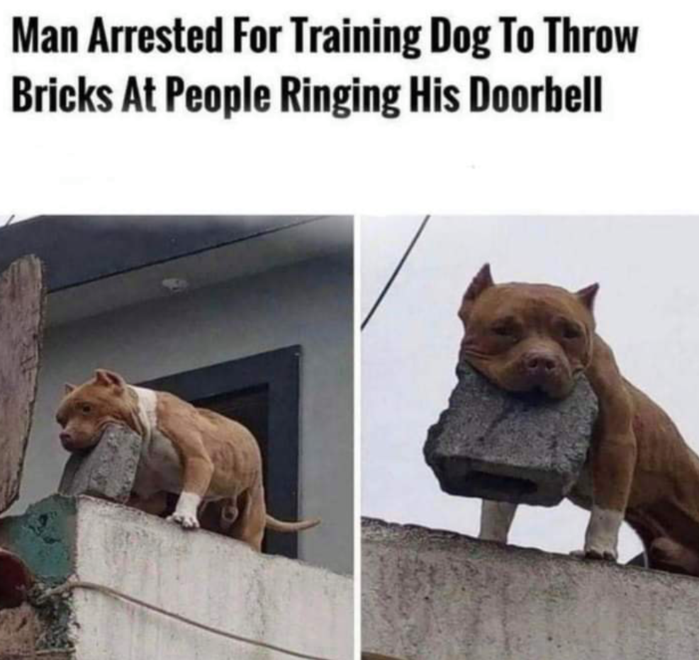 brickdog.png