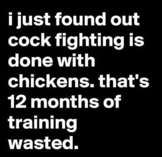 cockfighting.jpg