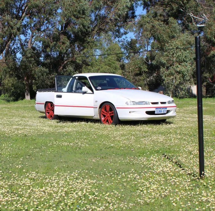 My-1994-Holden-vs-ute-Straya.jpg