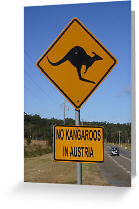 no kangaroos.jpg