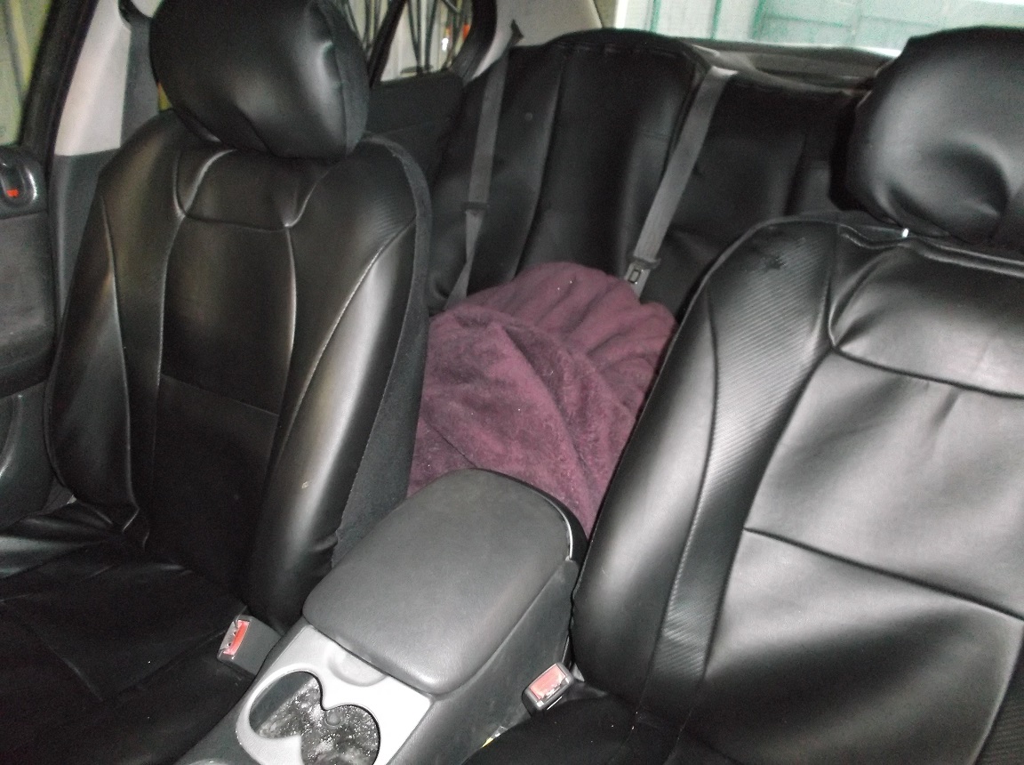 Smaller size seat covers.JPG