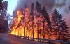 I-18 Trees on Fire.jpg