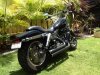 2011 Harley davidson Fxdf