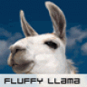 Fluffy Llama