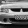 squidsVX